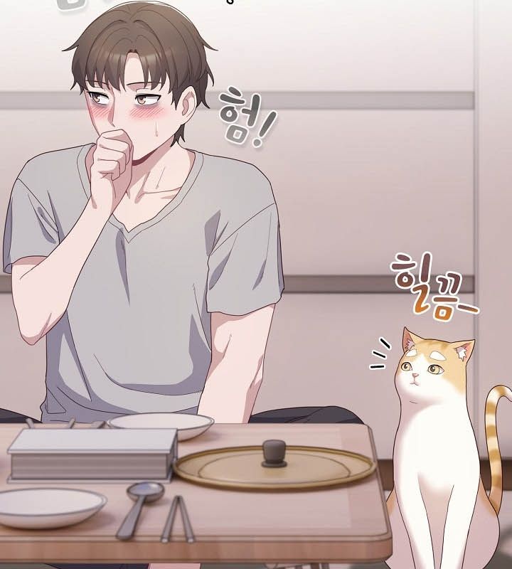 猫猫牵红线第10話