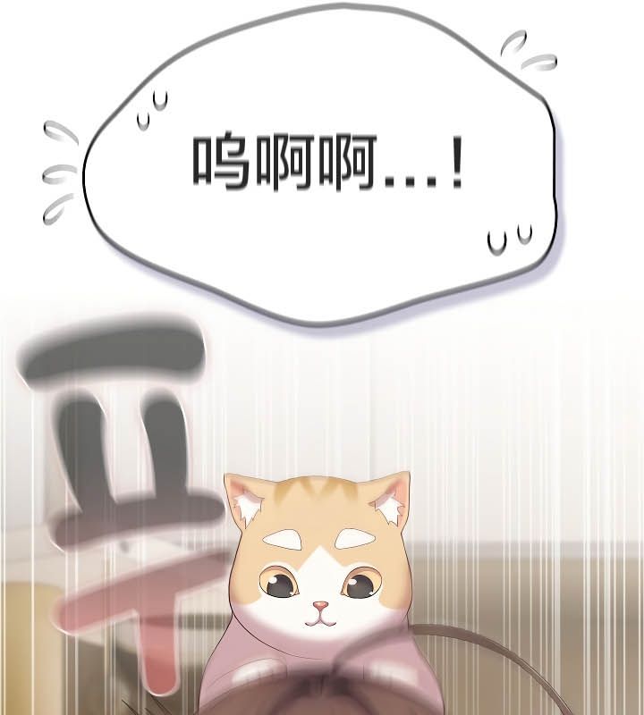 猫猫牵红线第11話