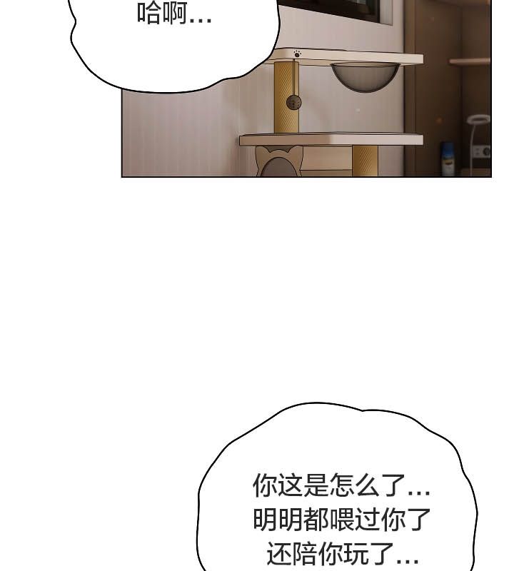 猫猫牵红线第11話