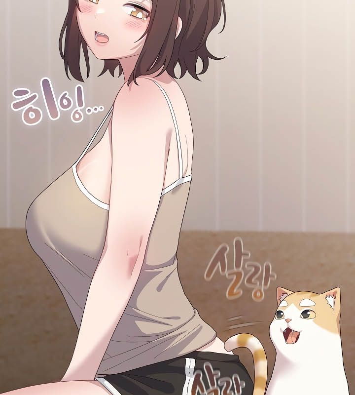 猫猫牵红线第11話