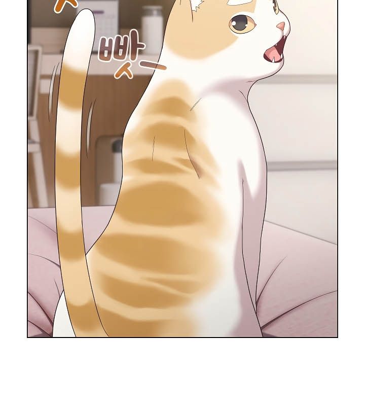 猫猫牵红线第11話