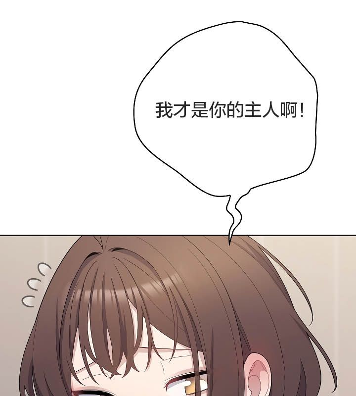 猫猫牵红线第11話