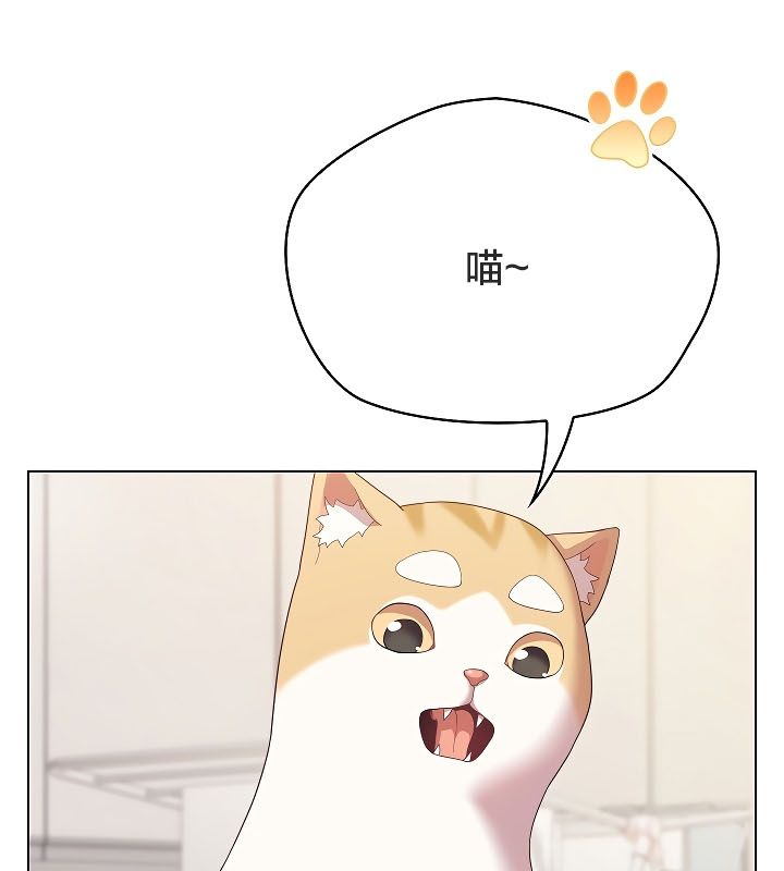 猫猫牵红线第11話