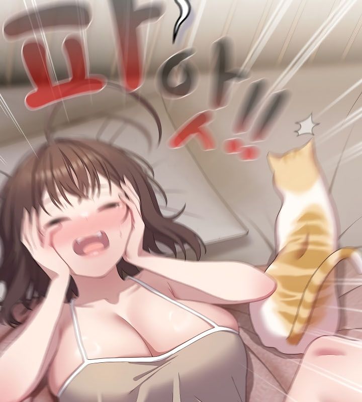 貓貓牽紅線第11話