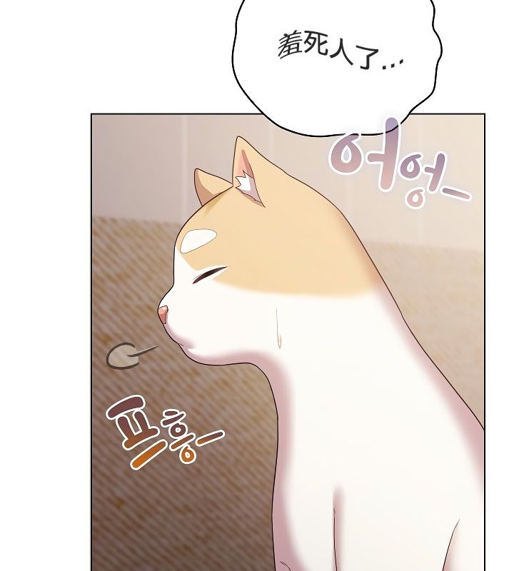 貓貓牽紅線第11話