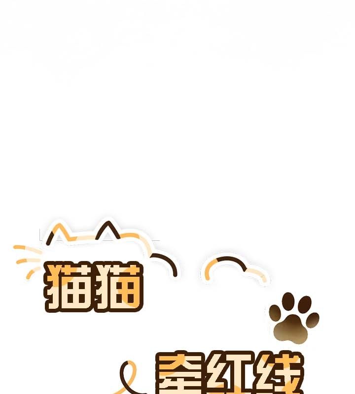 猫猫牵红线第12話