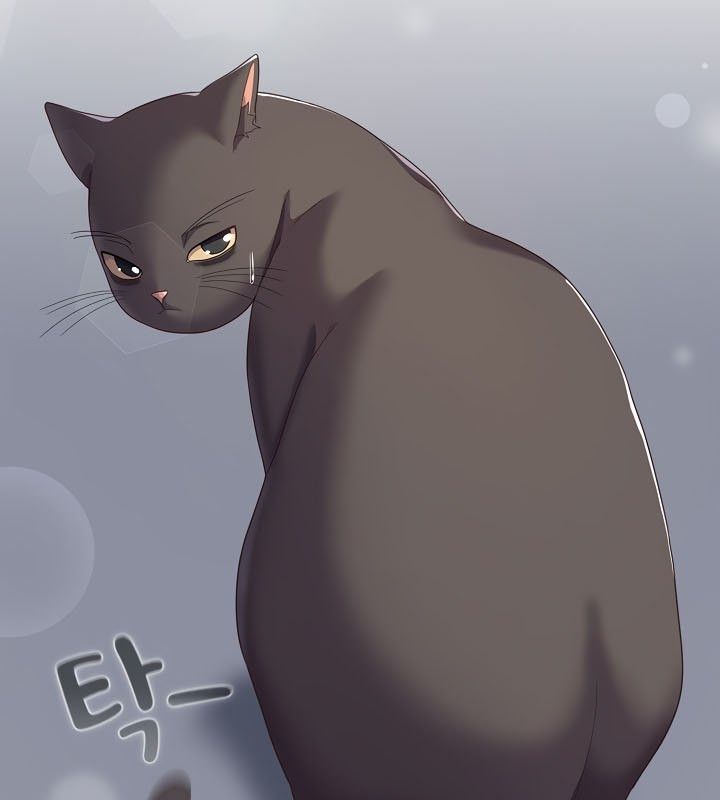 猫猫牵红线第13話