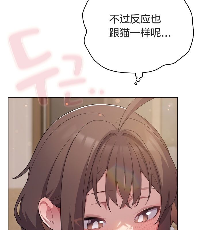 猫猫牵红线第13話