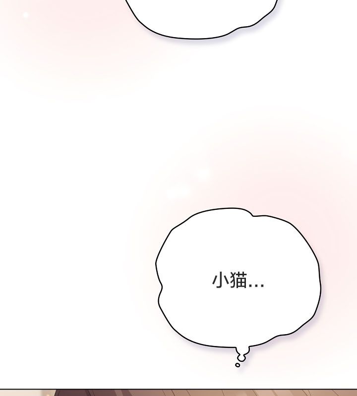 猫猫牵红线第13話