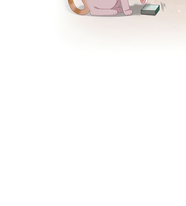 貓貓牽紅線第13話