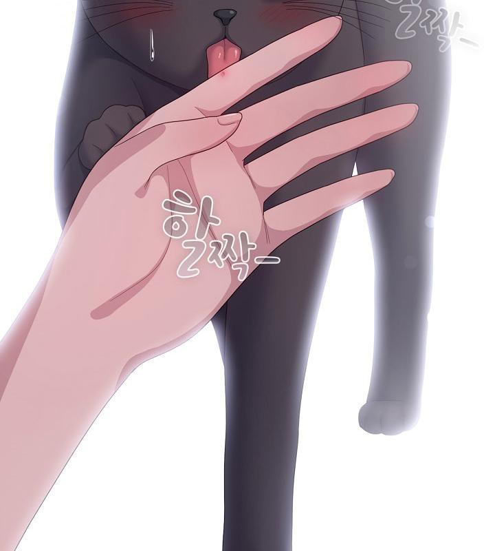 猫猫牵红线第14話