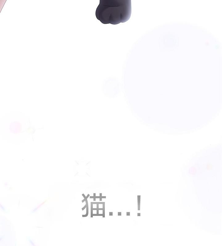 猫猫牵红线第14話