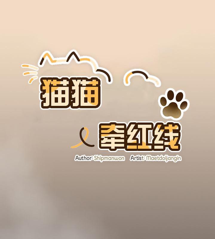 猫猫牵红线第16話