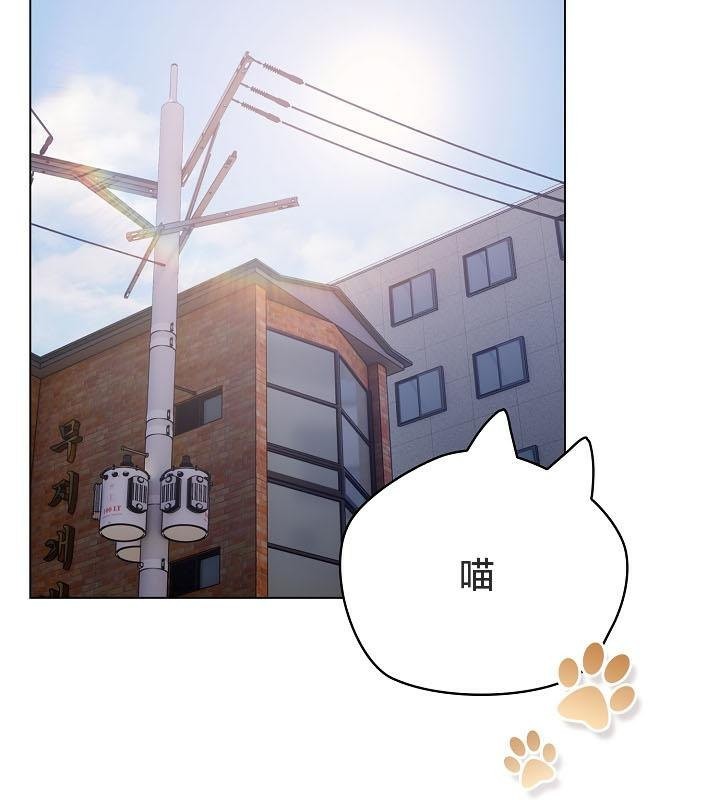 猫猫牵红线第18話