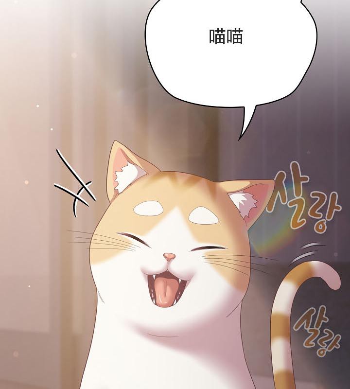 猫猫牵红线第18話