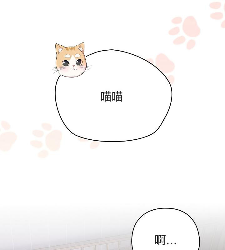 猫猫牵红线第18話