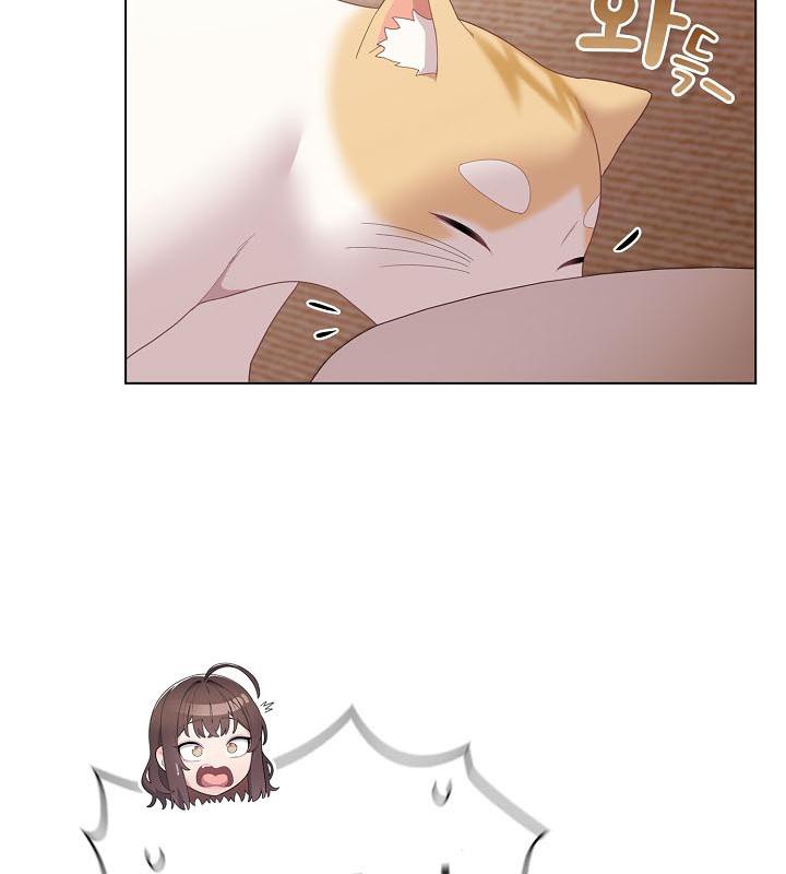 猫猫牵红线第18話