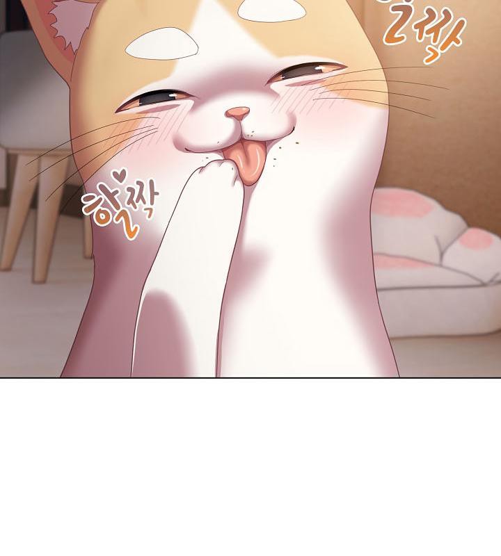 猫猫牵红线第18話