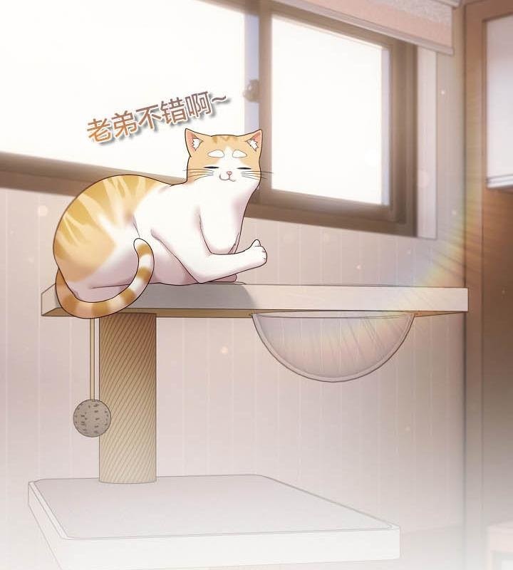 猫猫牵红线第18話