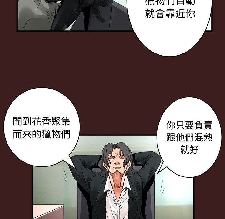 菜鸟蓝荠理第19话