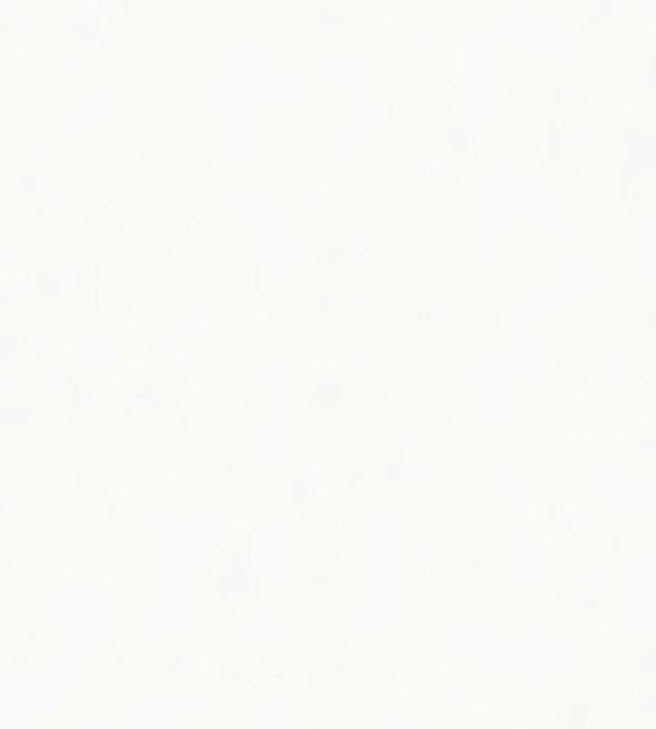 重生士兵的雌性征服日誌!第24話