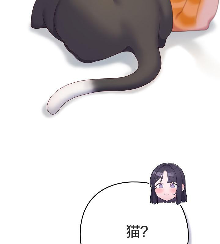 猫猫牵红线第19話