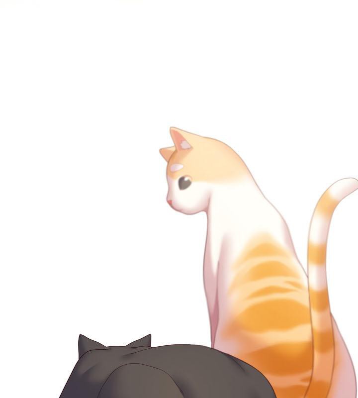 貓貓牽紅線第19話