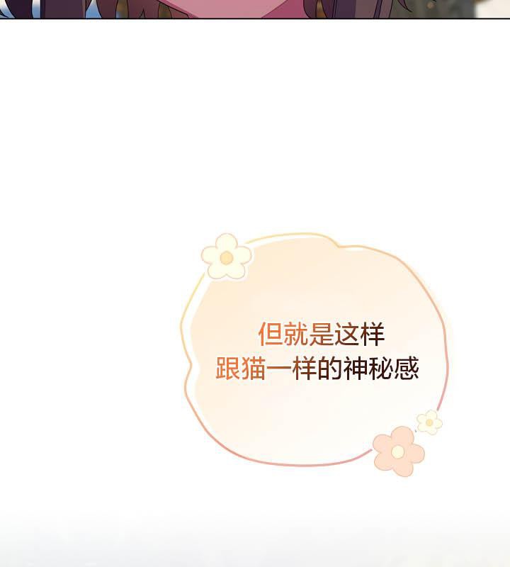 貓貓牽紅線第19話