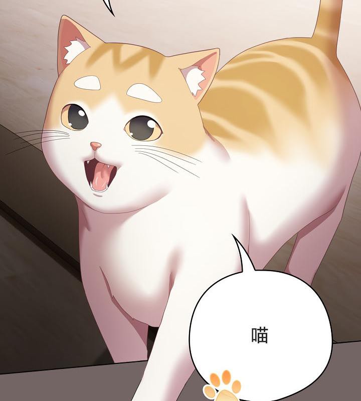 猫猫牵红线第20話