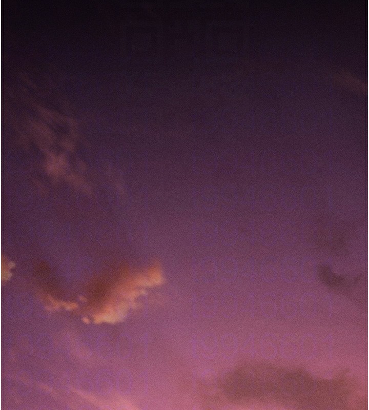 選手村:母豬調教第10話-欠調教的女人