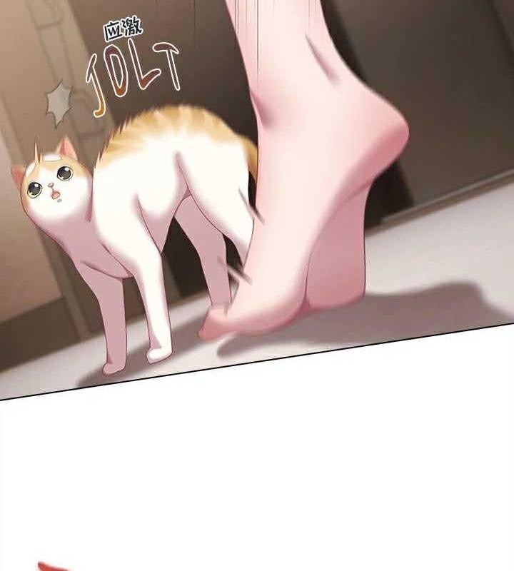 猫猫牵红线第23話