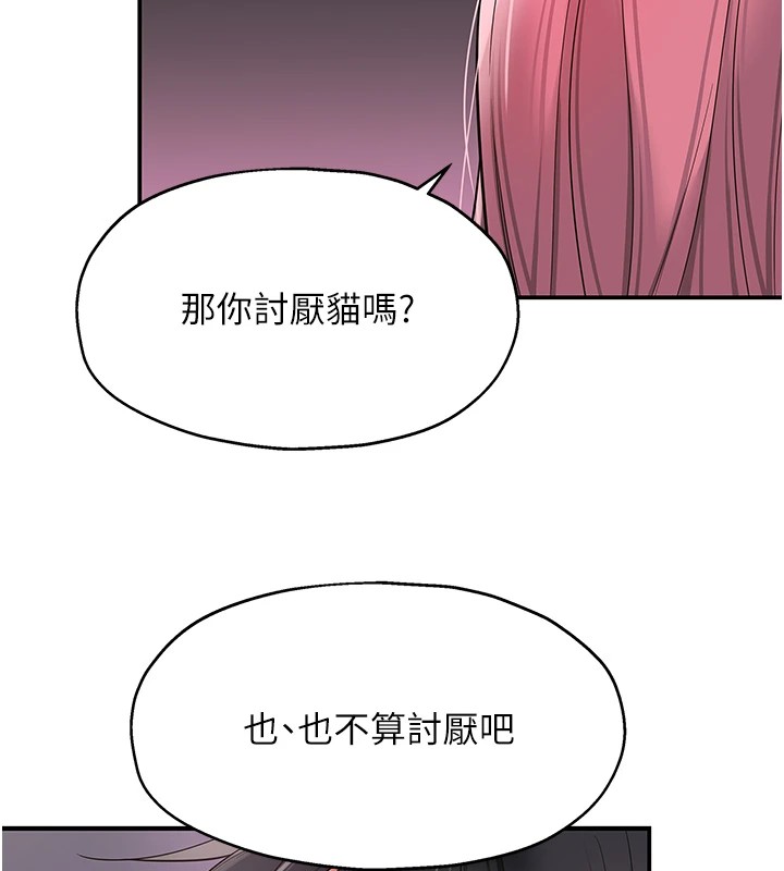 洞洞雜貨店第115話-性感小野貓登門報答