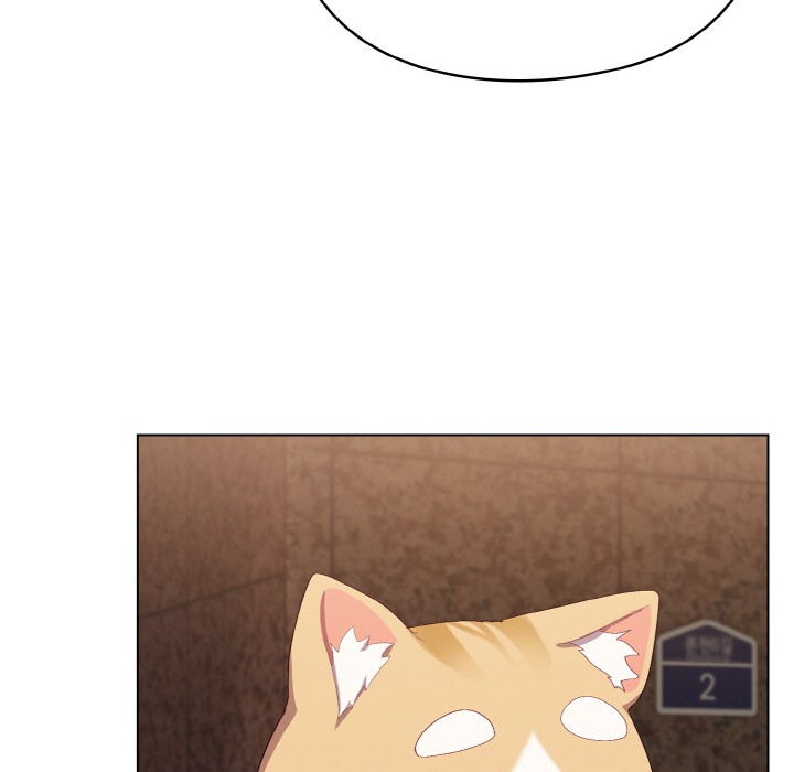 喵来的恋爱第1話