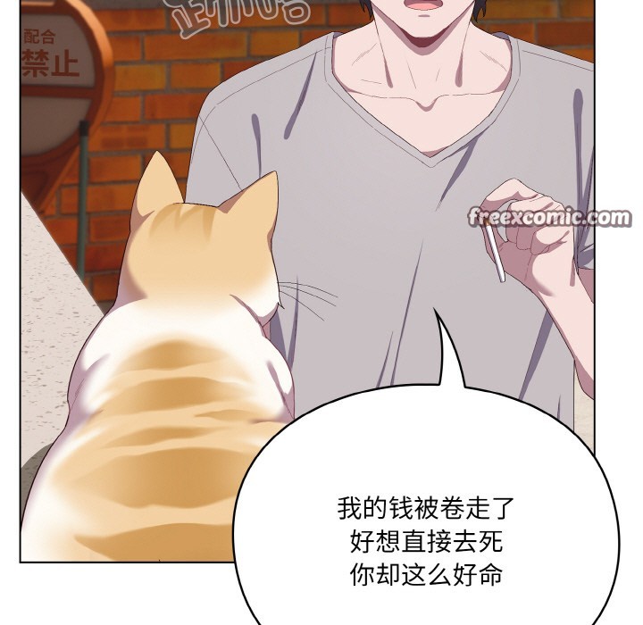 喵来的恋爱第1話