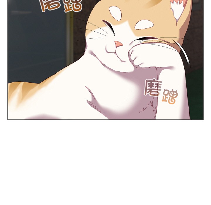 喵来的恋爱第1話