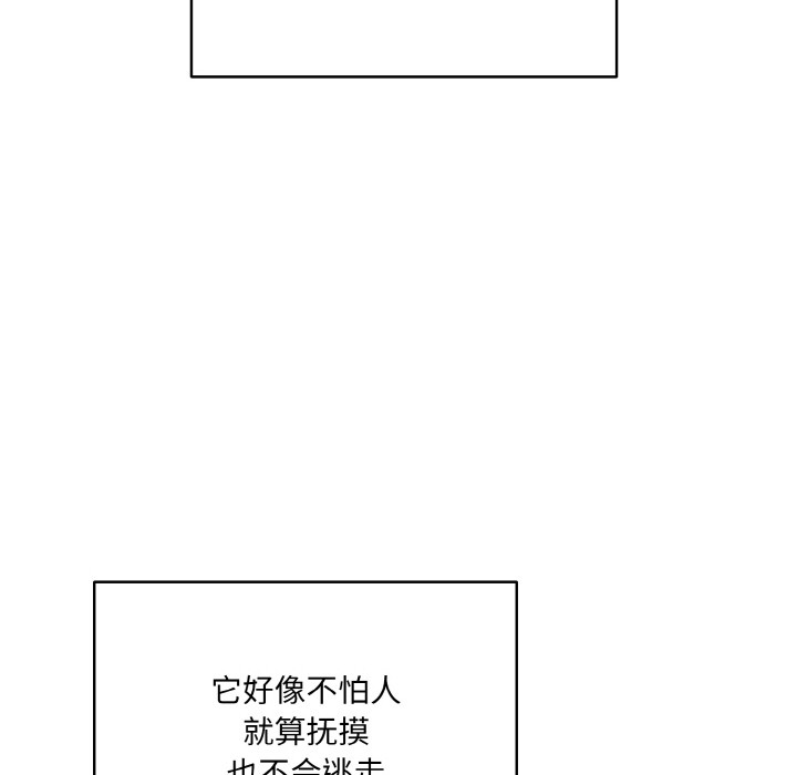 喵来的恋爱第1話