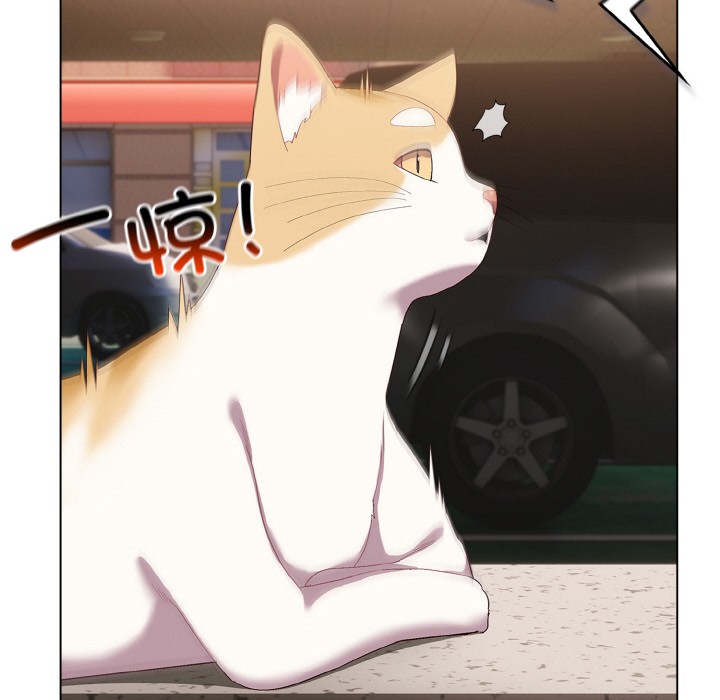 喵来的恋爱第1話