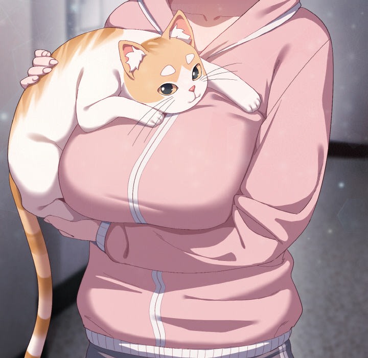 喵来的恋爱第1話