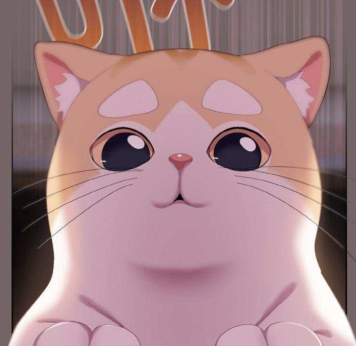 喵來的戀愛第3話