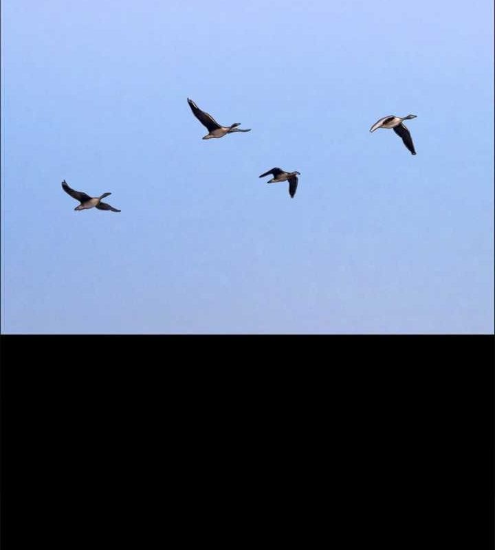 協議換愛(無碼版)最終話-快樂結束之後的沒落