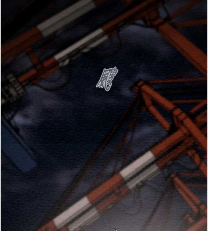 掠夺行动第47話-按照計畫進行