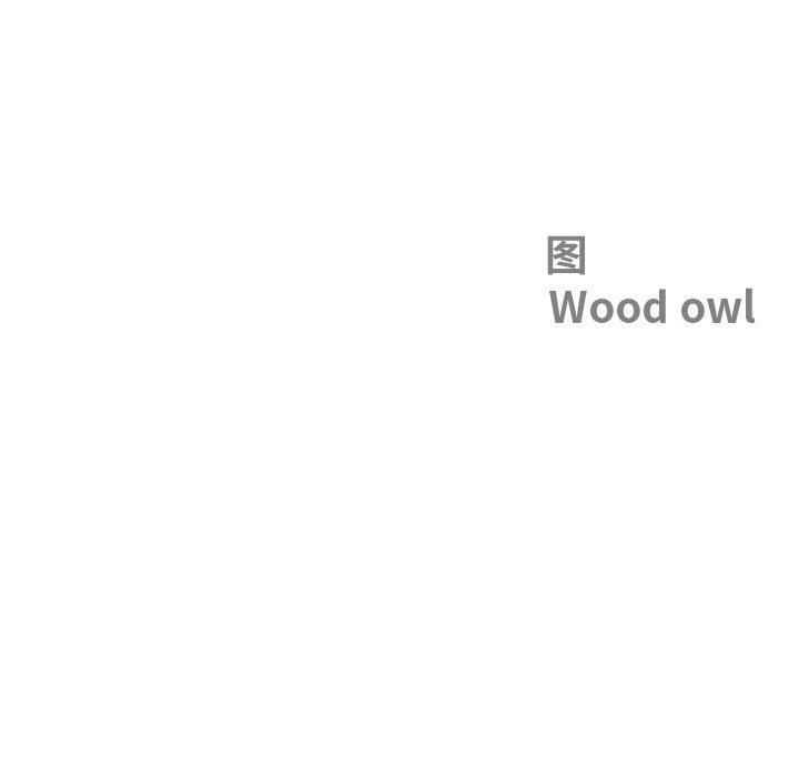 最强男人第16話