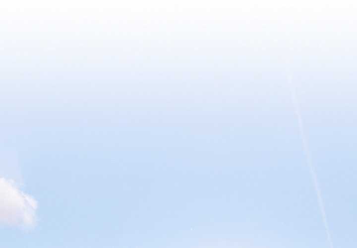 傻瓜病毒第13話