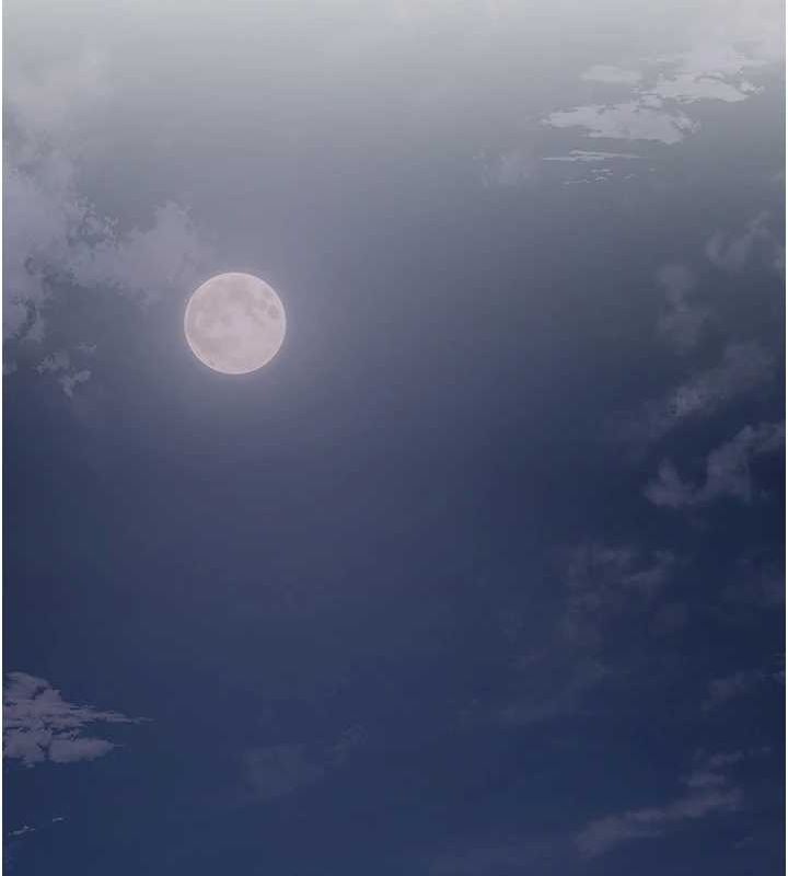 花容湿色:取花点第45話-夫人下面也濕了&hellip;