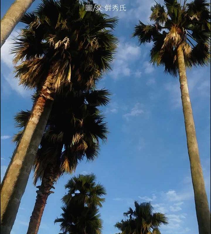 縱夏夜之夢(無碼版)第45話-好想大幹特幹