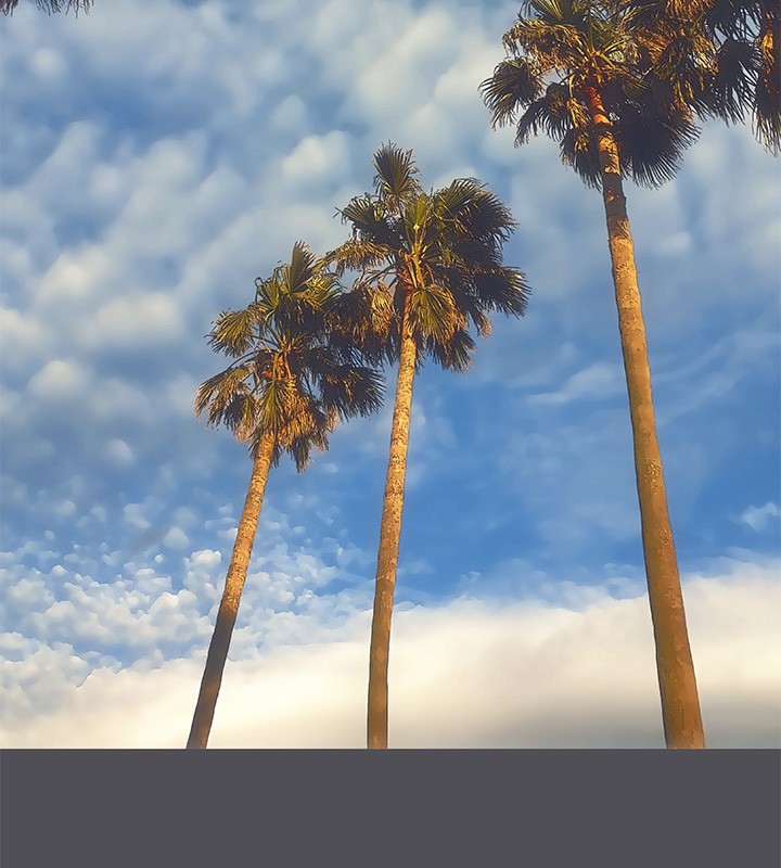 縱夏夜之夢(無碼版)第47話-終於要替處女開苞了