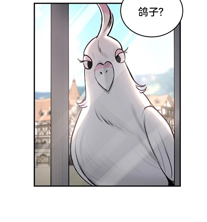 重生士兵的雌性征服日誌!第61話