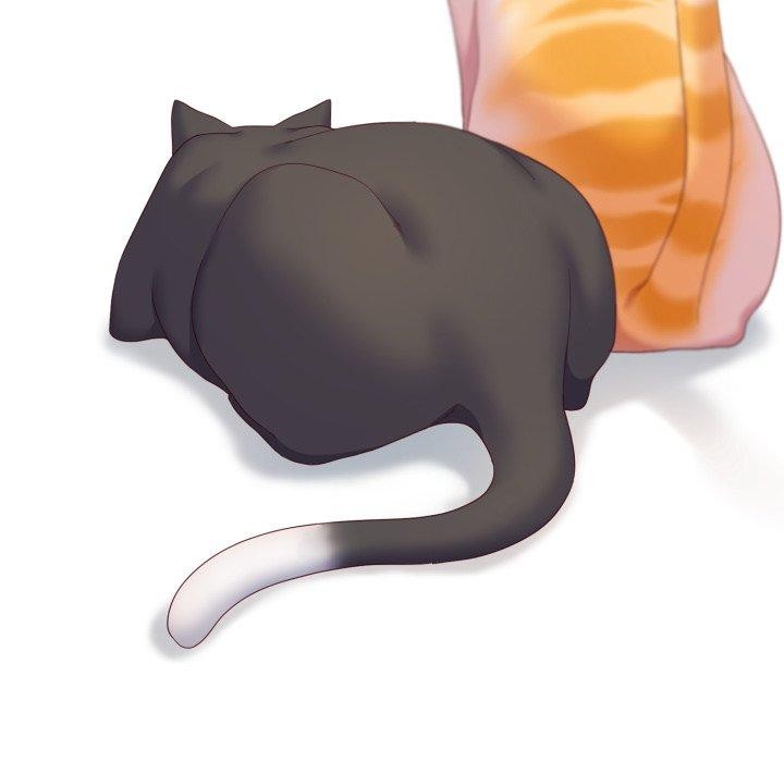 喵來的戀愛第19話