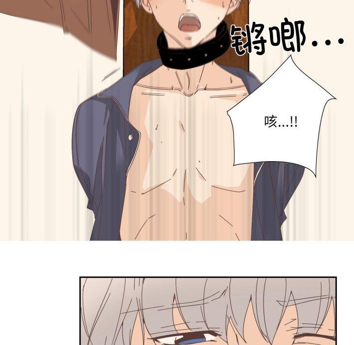 纯洁之罪第12話