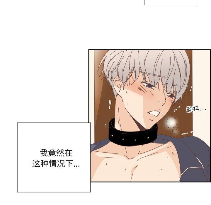 纯洁之罪第12話